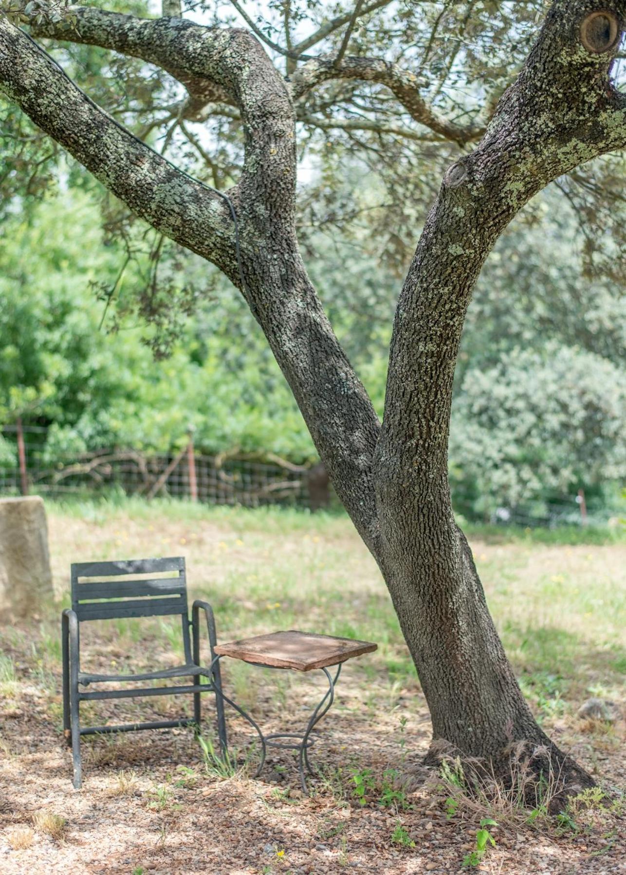 Penzion La Umbria De La Ribera El Pedroso Exteriér fotografie