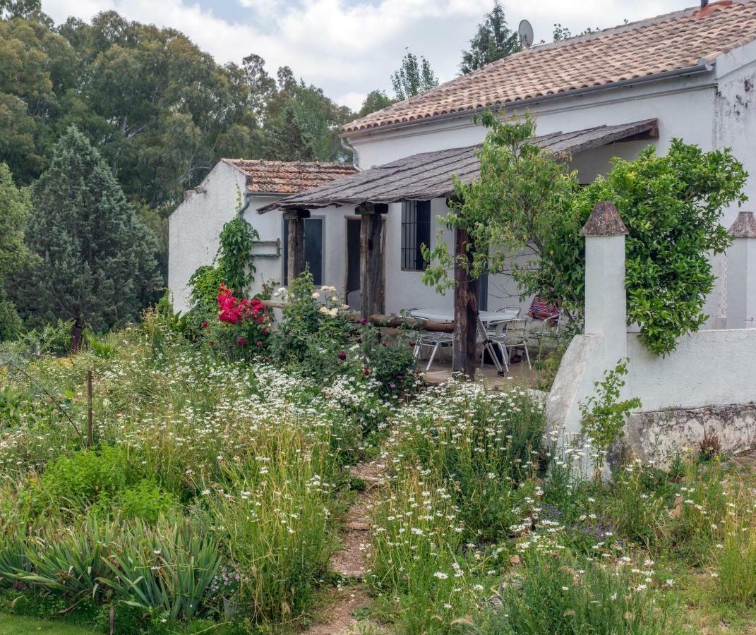 Penzion La Umbria De La Ribera El Pedroso Exteriér fotografie