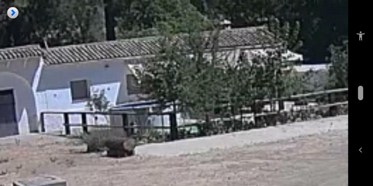Penzion La Umbria De La Ribera El Pedroso Exteriér fotografie